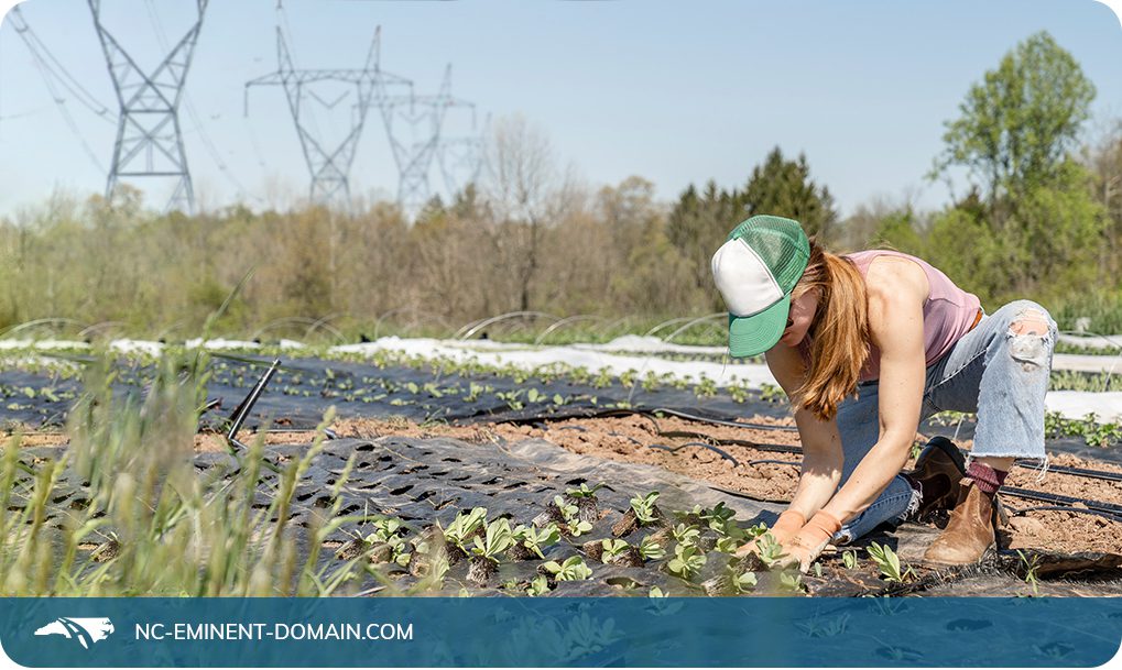 A female farmer working on crops in the field with transmission lines in the background.